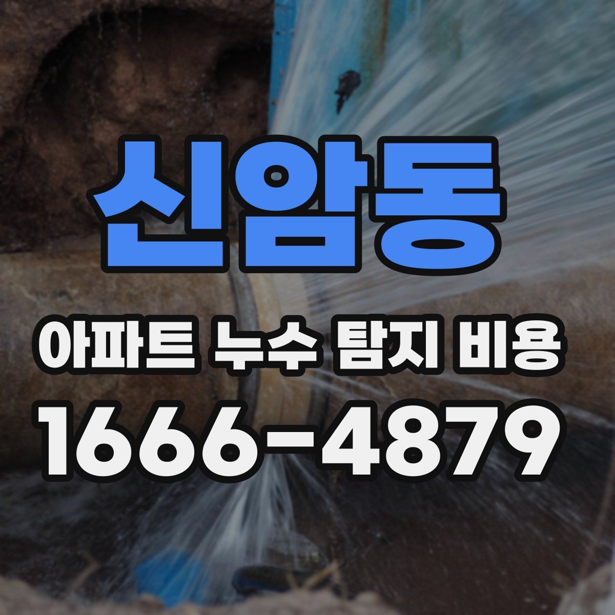 신암동 아파트 누수 탐지 비용