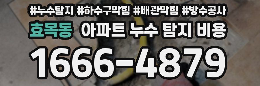 효목동 아파트 누수 탐지 비용