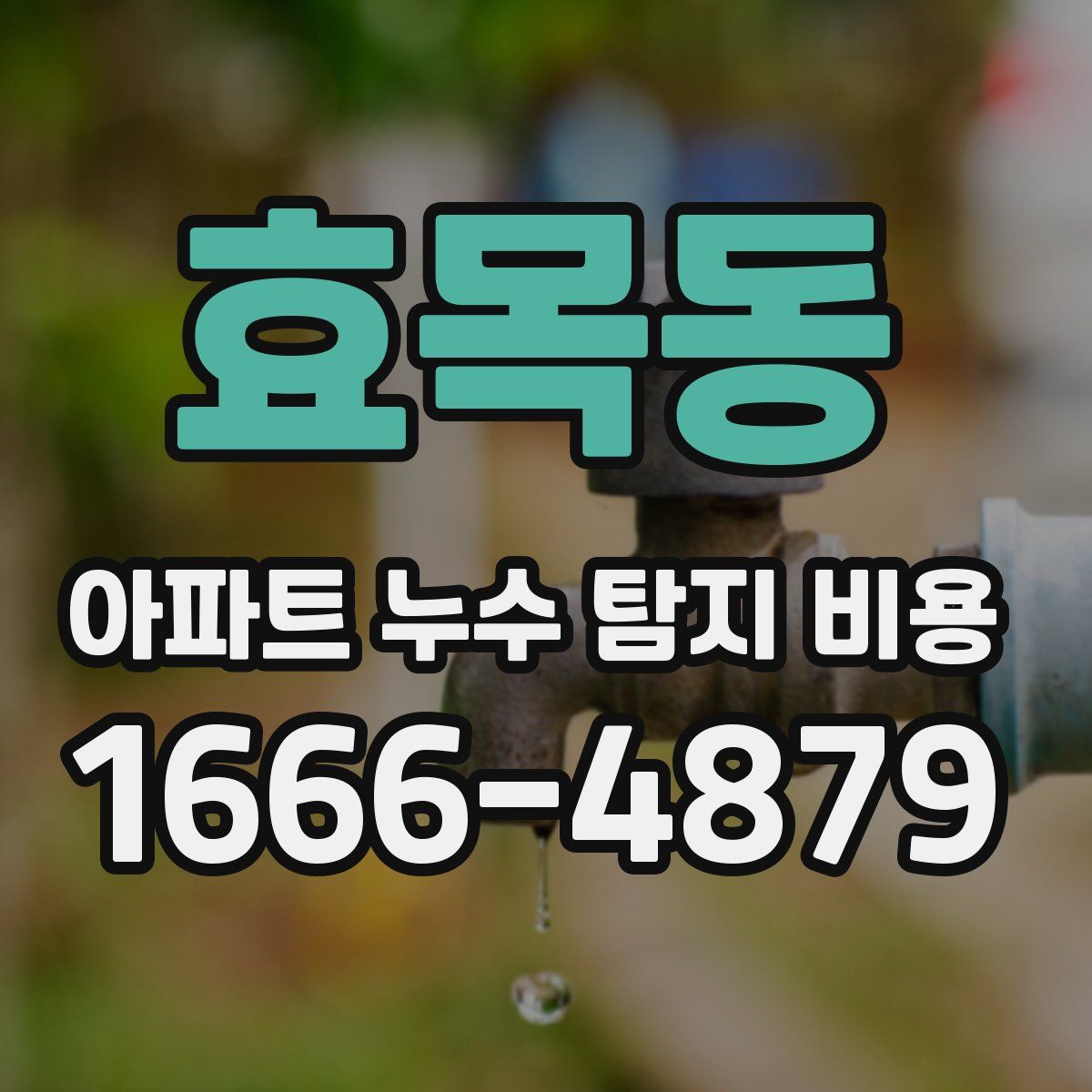 효목동 아파트 누수 탐지 비용