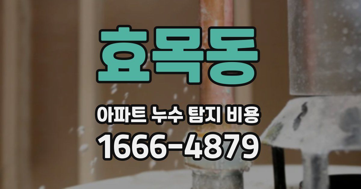 효목동 아파트 누수 탐지 비용