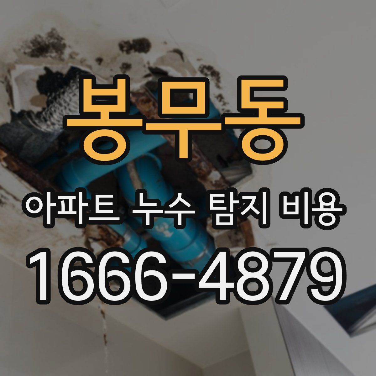 봉무동 아파트 누수 탐지 비용