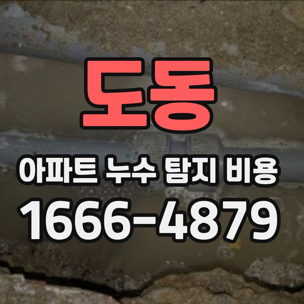 도동 아파트 누수 탐지 비용