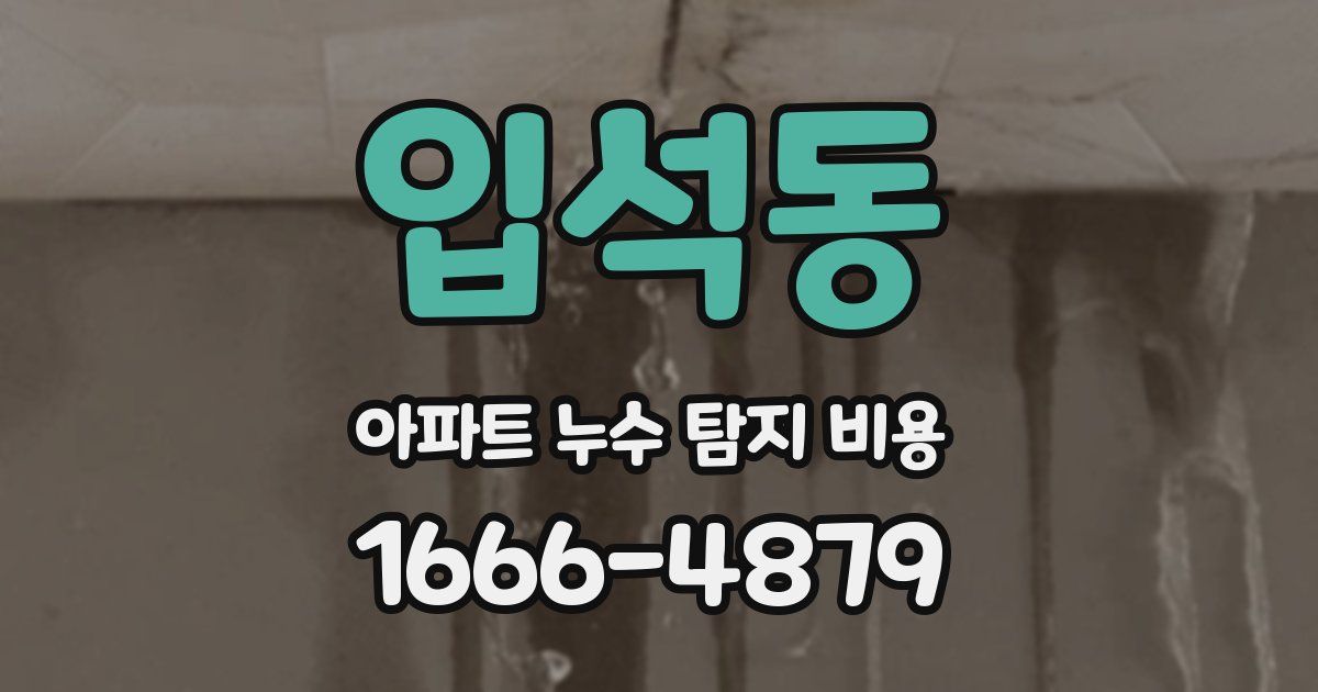 입석동 아파트 누수 탐지 비용
