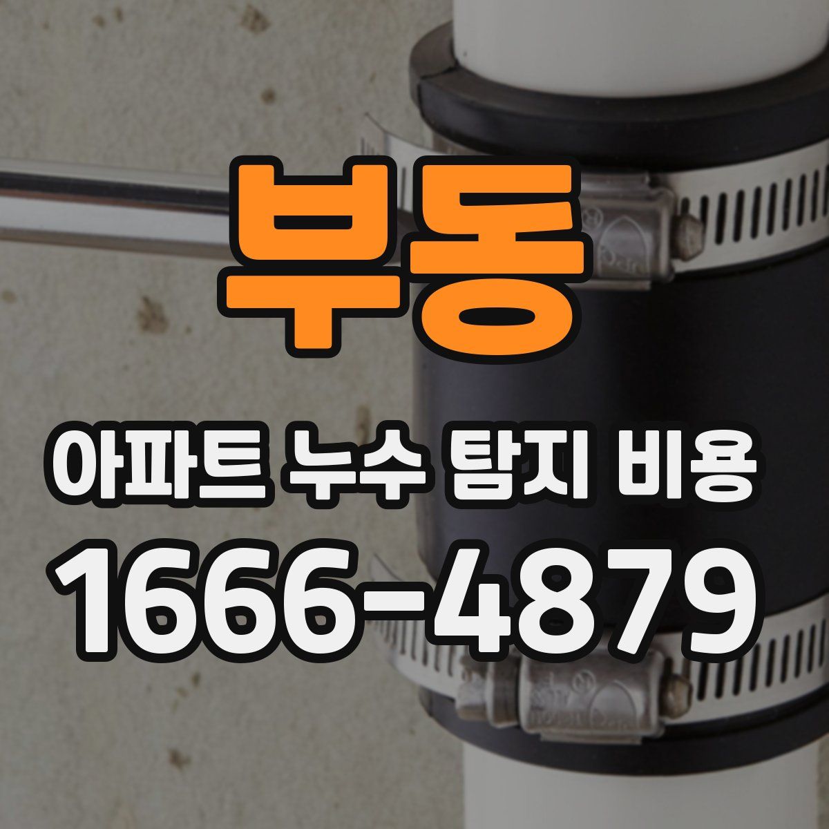 부동 아파트 누수 탐지 비용