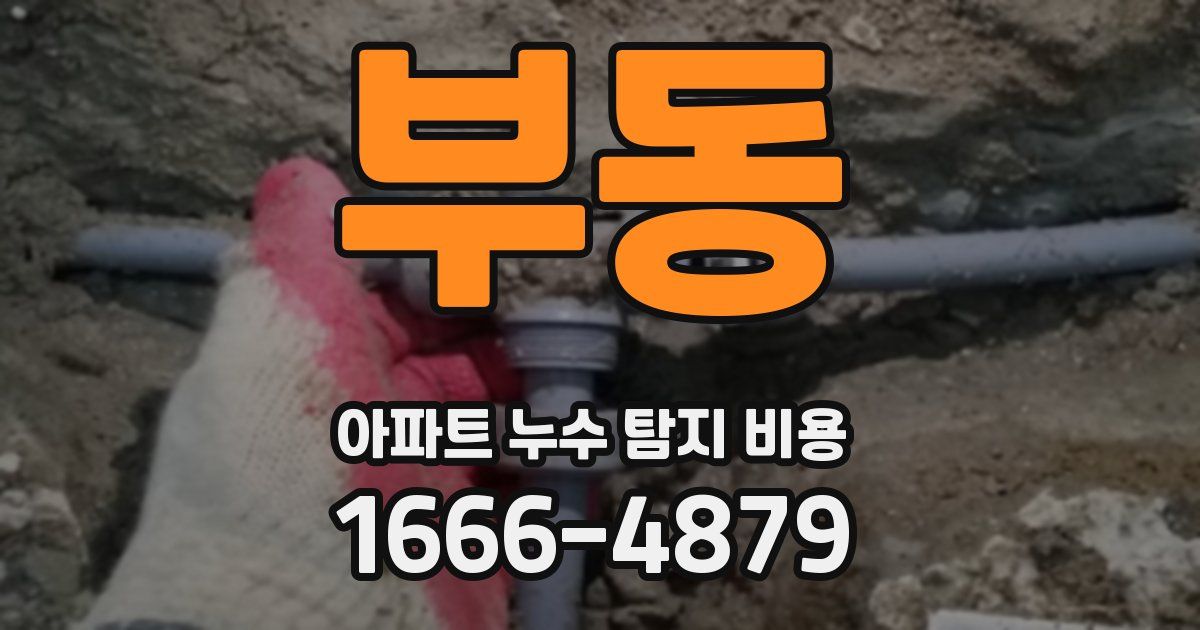 부동 아파트 누수 탐지 비용