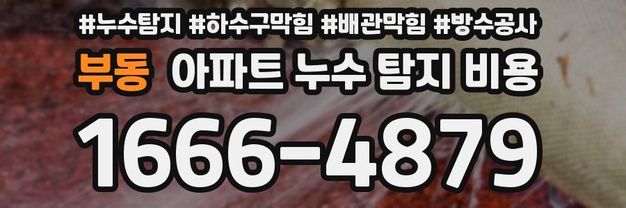 부동 아파트 누수 탐지 비용