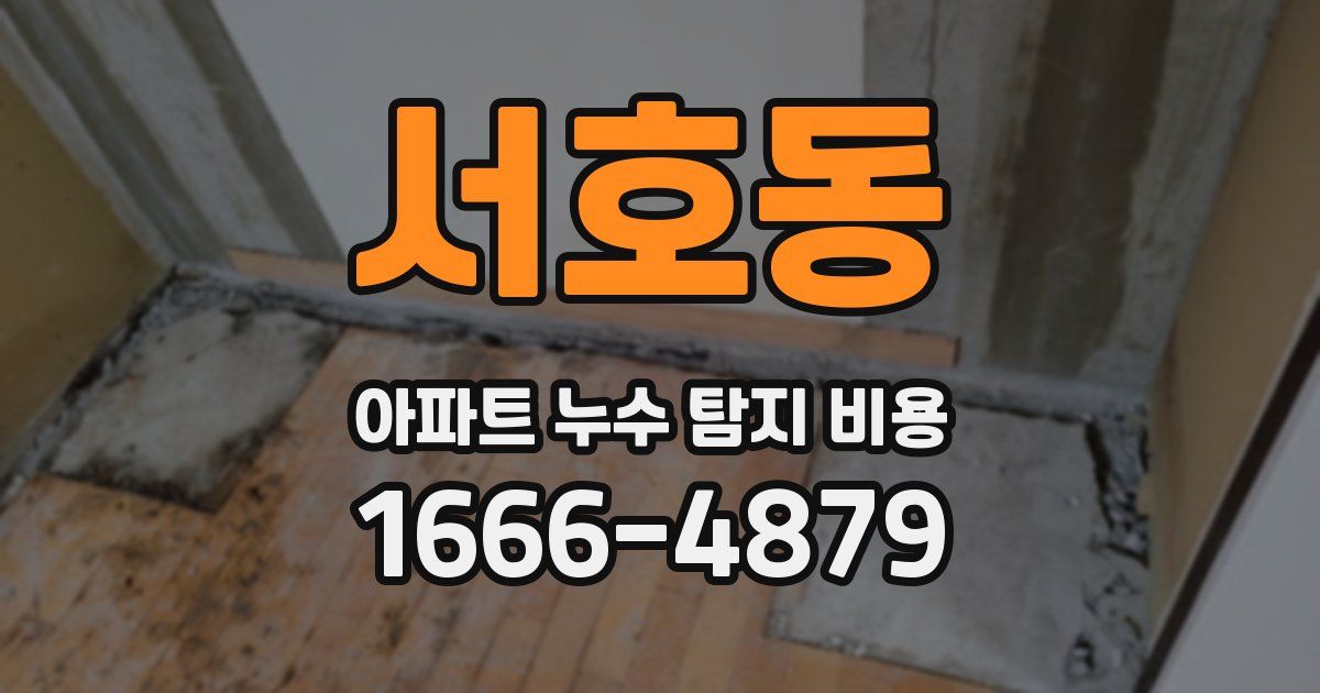 서호동 아파트 누수 탐지 비용