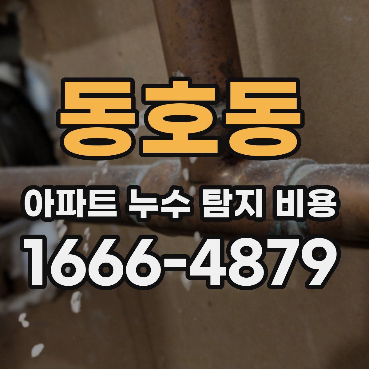 동호동 아파트 누수 탐지 비용