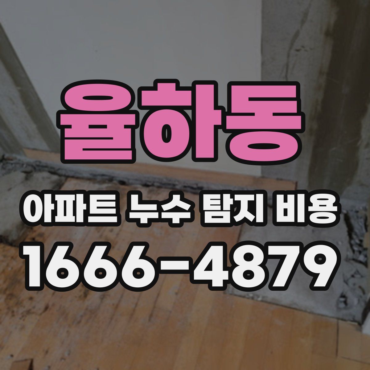 율하동 아파트 누수 탐지 비용