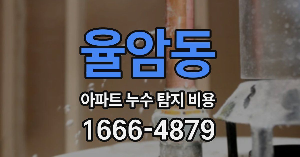 율암동 아파트 누수 탐지 비용
