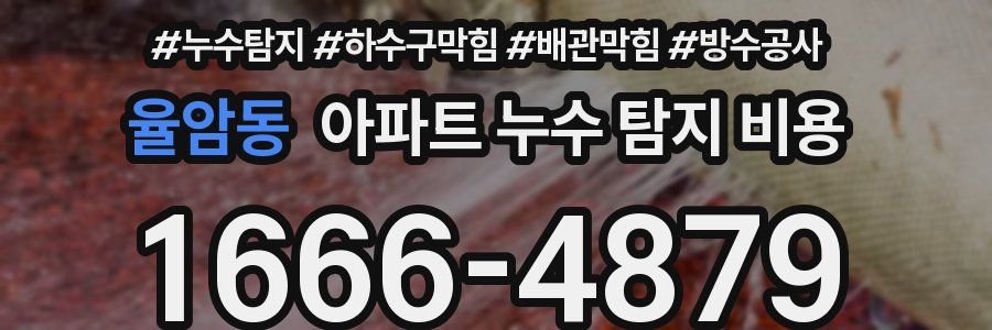 율암동 아파트 누수 탐지 비용