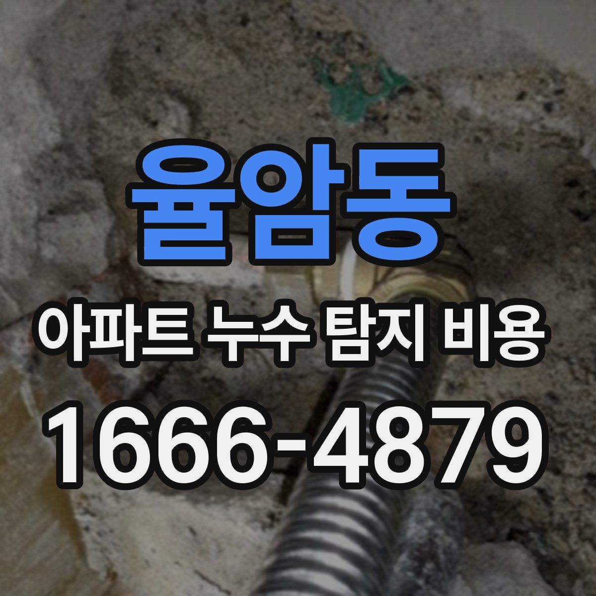 율암동 아파트 누수 탐지 비용