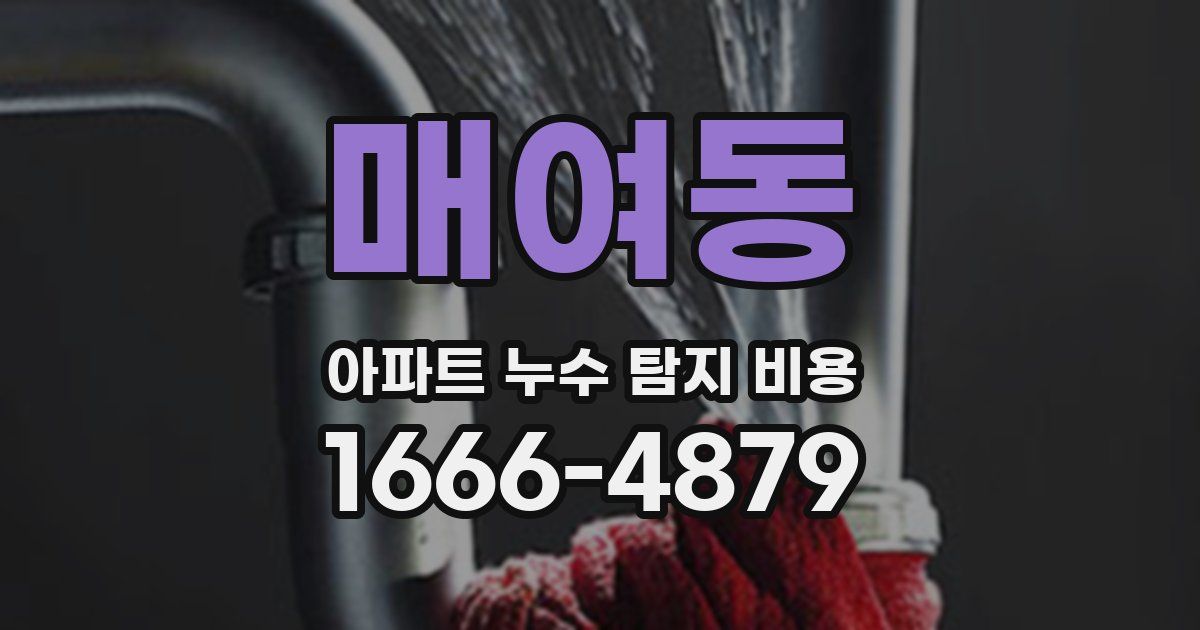 매여동 아파트 누수 탐지 비용