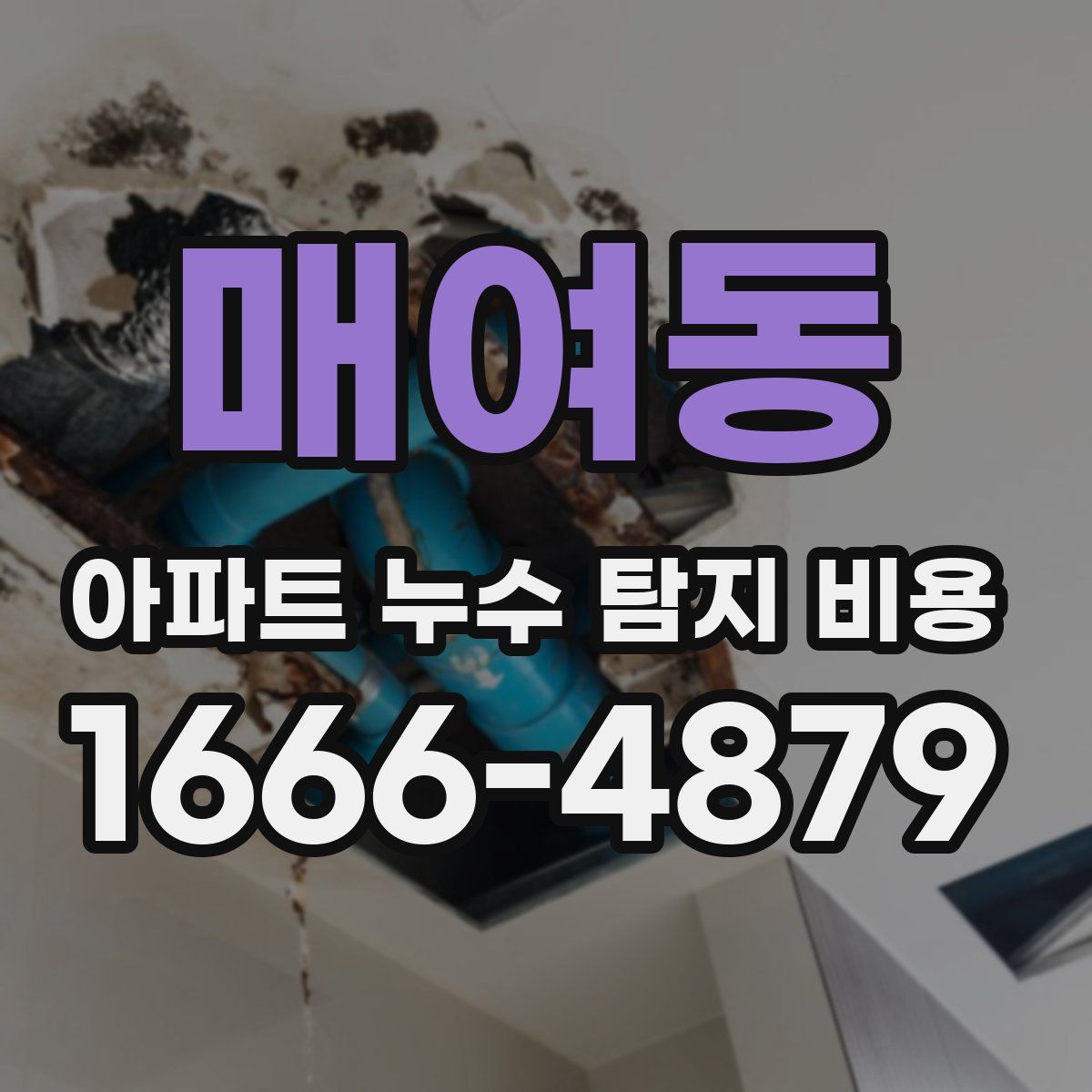 매여동 아파트 누수 탐지 비용
