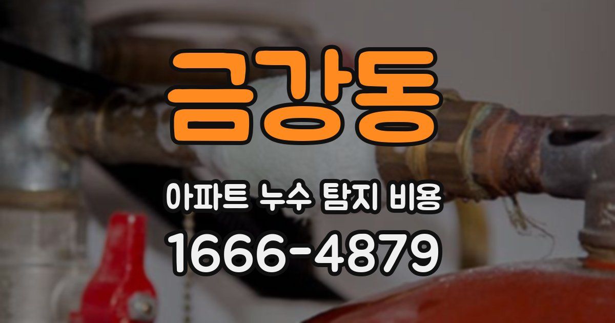 금강동 아파트 누수 탐지 비용