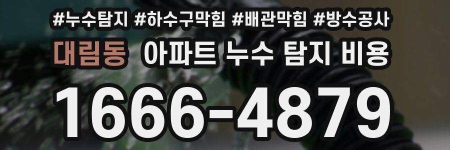 대림동 아파트 누수 탐지 비용
