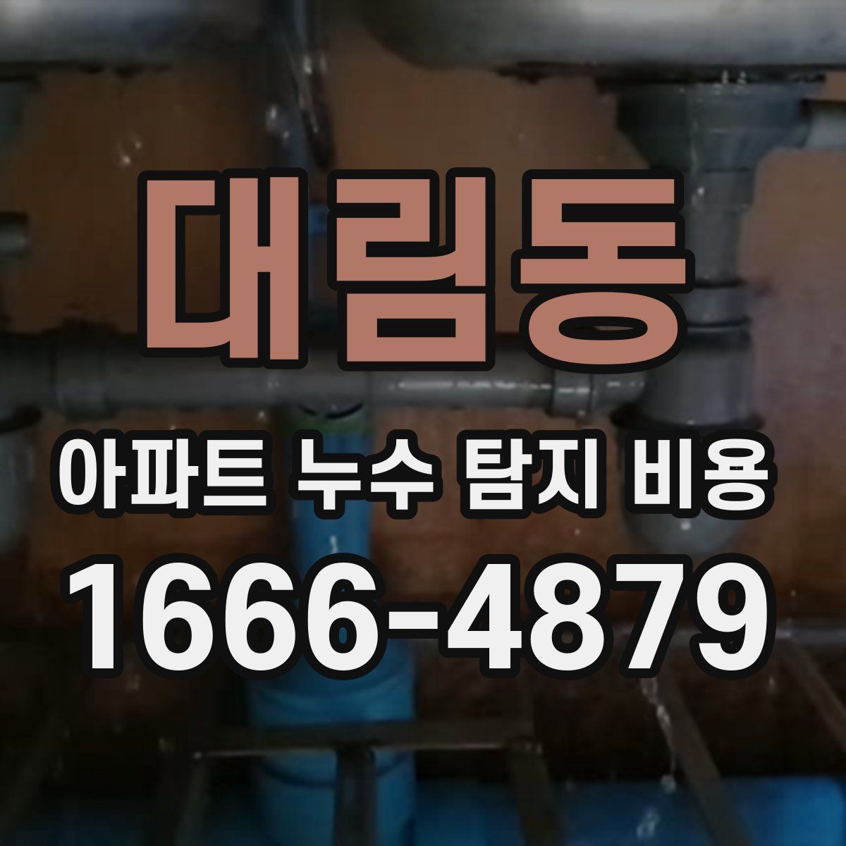대림동 아파트 누수 탐지 비용