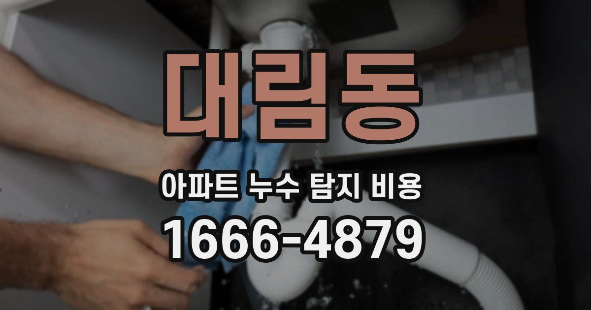 대림동 아파트 누수 탐지 비용