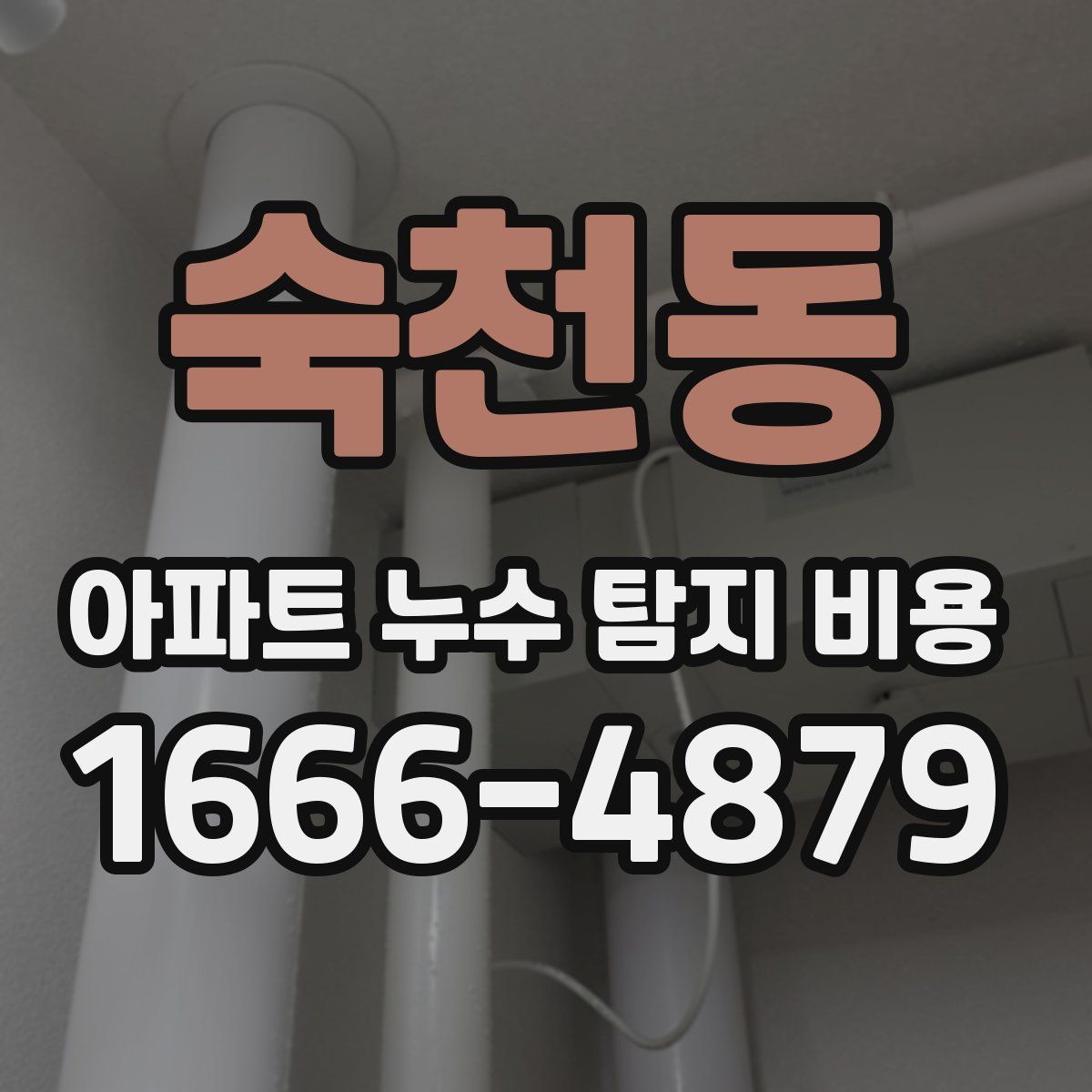 숙천동 아파트 누수 탐지 비용
