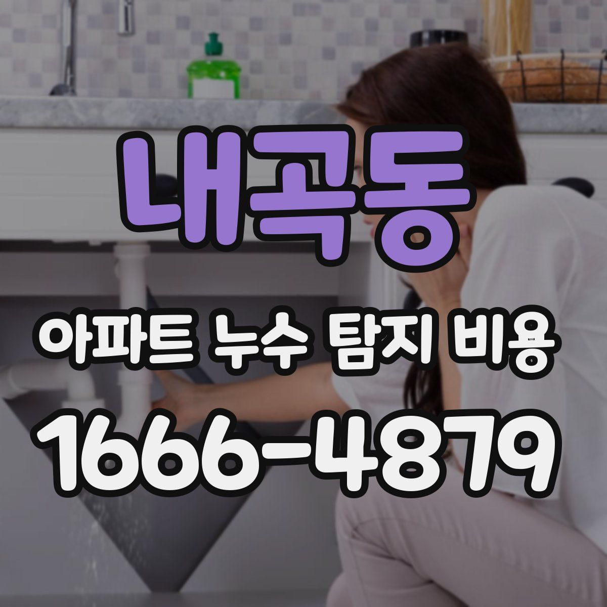내곡동 아파트 누수 탐지 비용