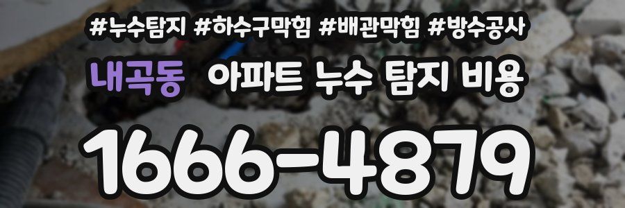 내곡동 아파트 누수 탐지 비용