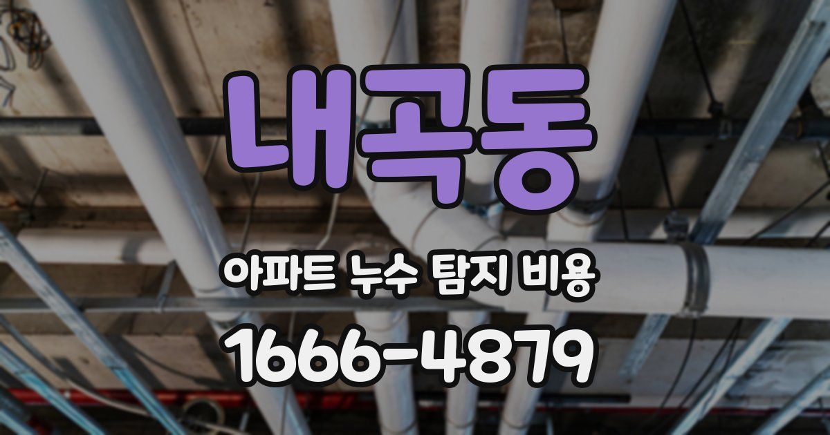 내곡동 아파트 누수 탐지 비용