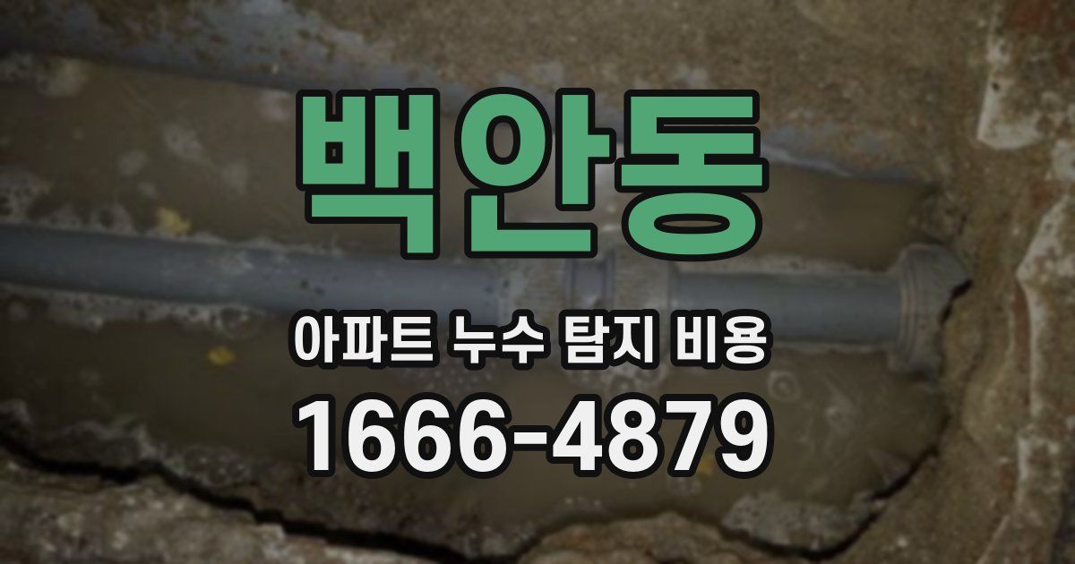 백안동 아파트 누수 탐지 비용
