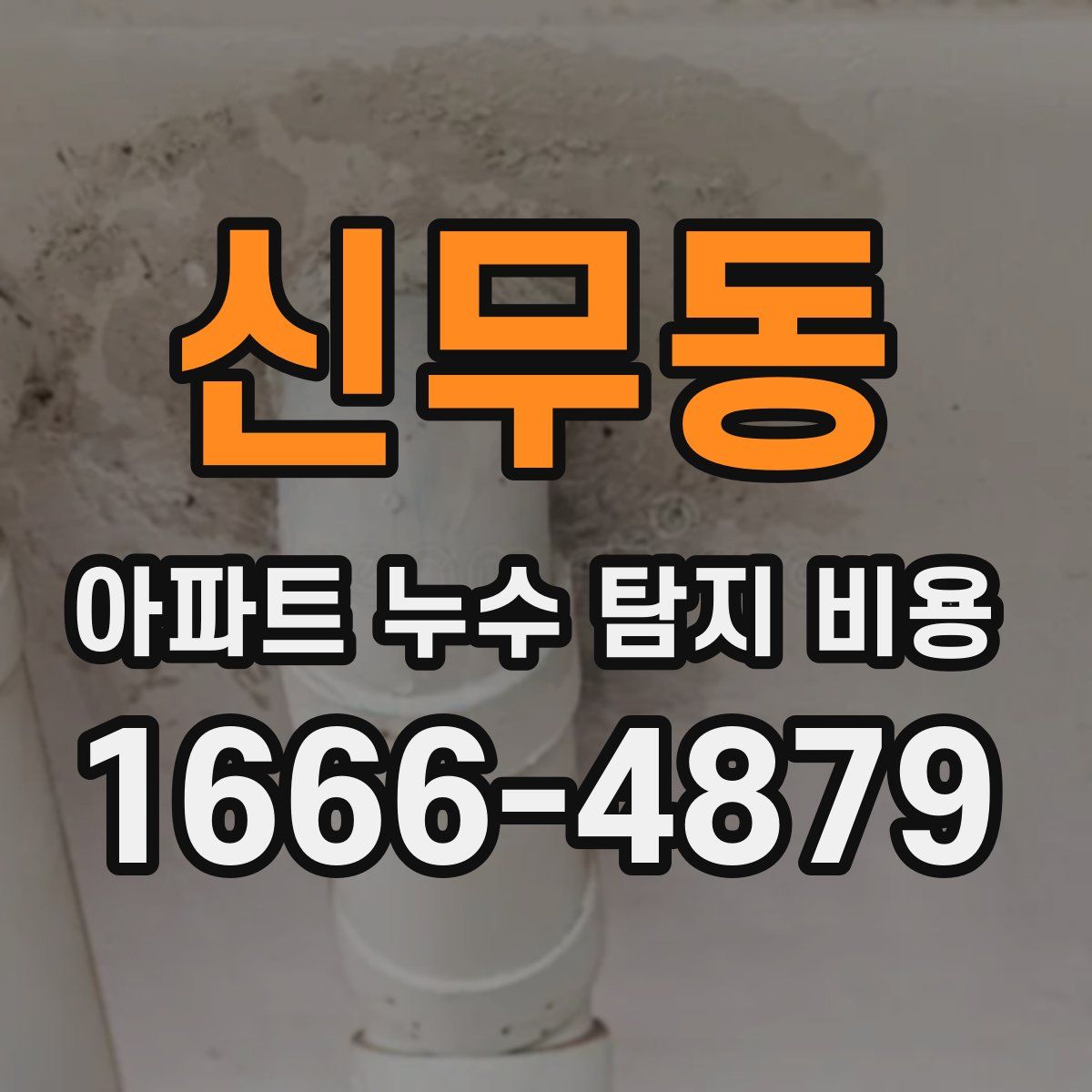신무동 아파트 누수 탐지 비용
