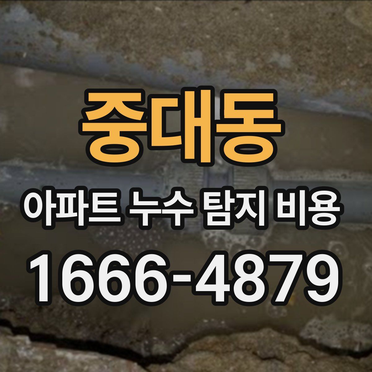중대동 아파트 누수 탐지 비용