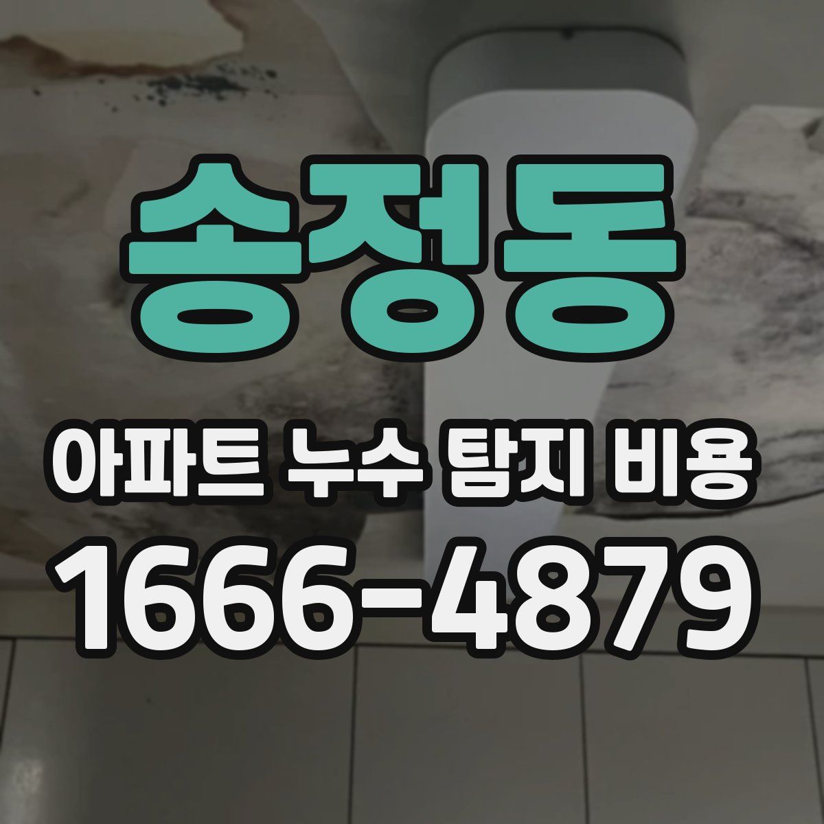 송정동 아파트 누수 탐지 비용