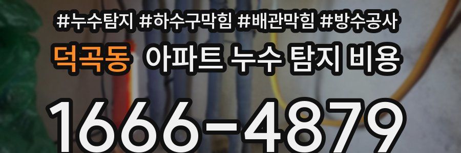 덕곡동 아파트 누수 탐지 비용
