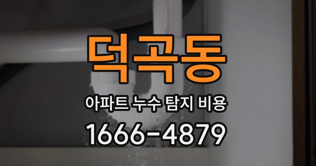 덕곡동 아파트 누수 탐지 비용