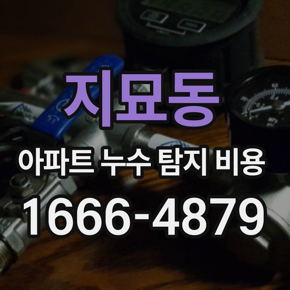 지묘동 아파트 누수 탐지 비용