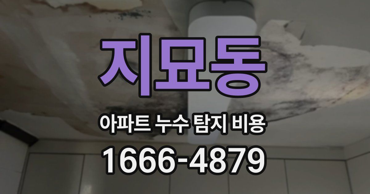 지묘동 아파트 누수 탐지 비용