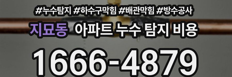 지묘동 아파트 누수 탐지 비용
