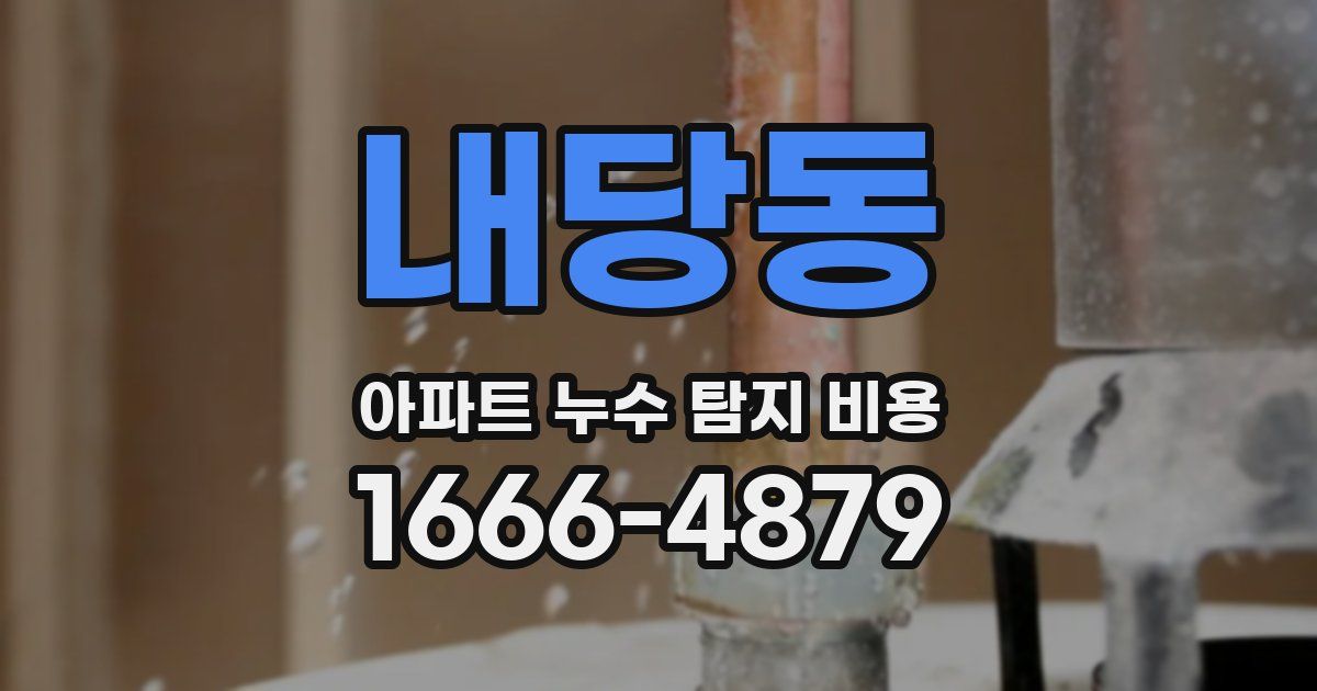 내당동 아파트 누수 탐지 비용