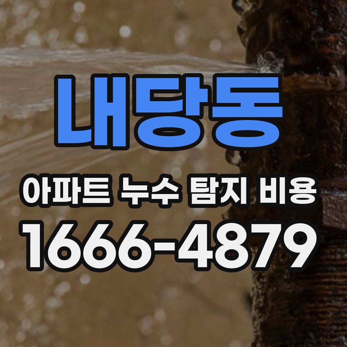 내당동 아파트 누수 탐지 비용