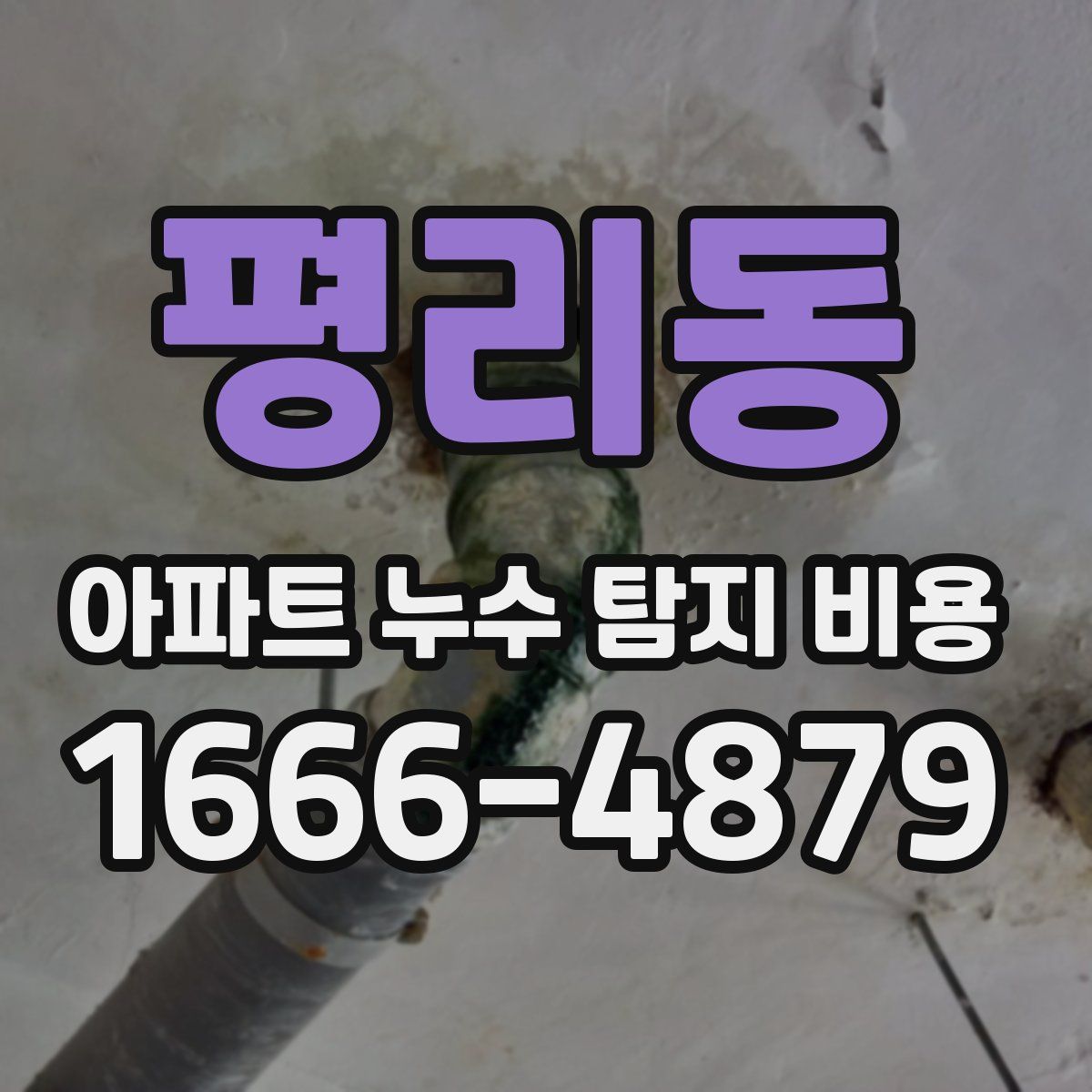 평리동 아파트 누수 탐지 비용
