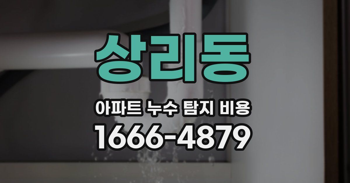 상리동 아파트 누수 탐지 비용