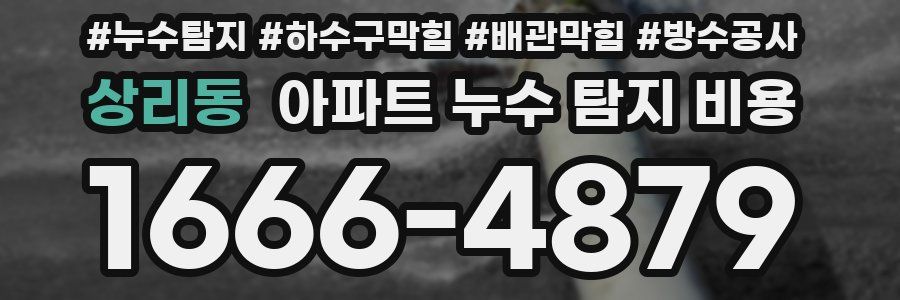 상리동 아파트 누수 탐지 비용