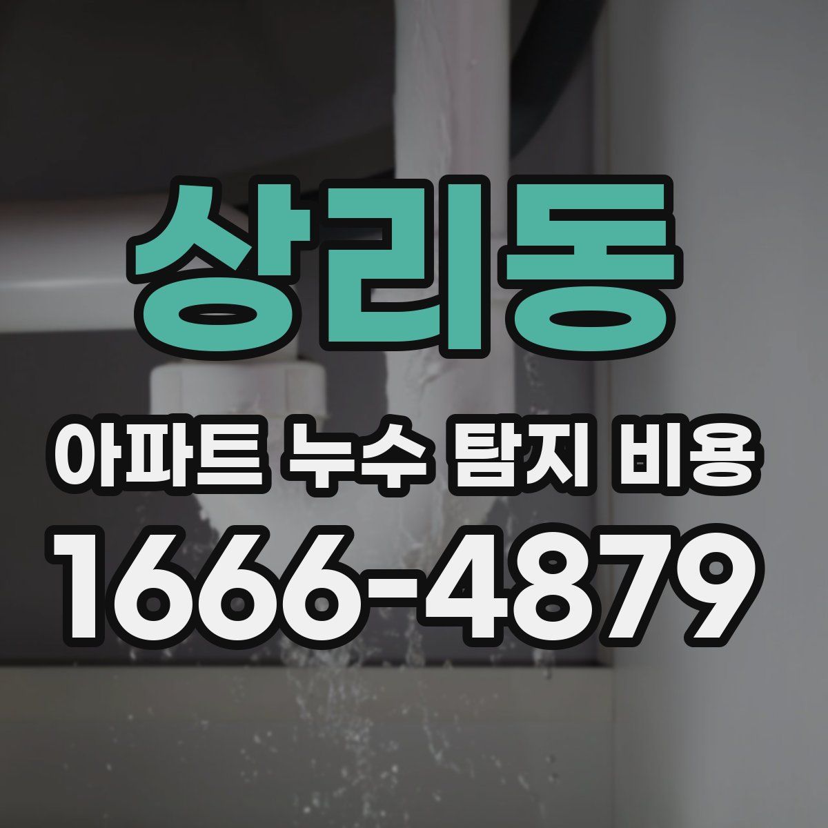 상리동 아파트 누수 탐지 비용