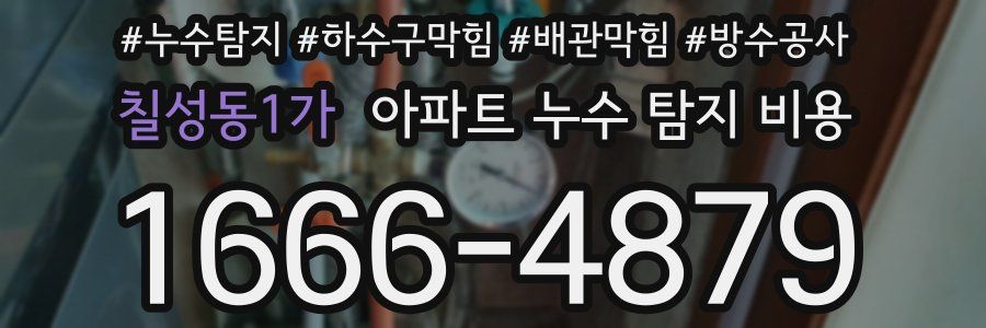 칠성동1가 아파트 누수 탐지 비용
