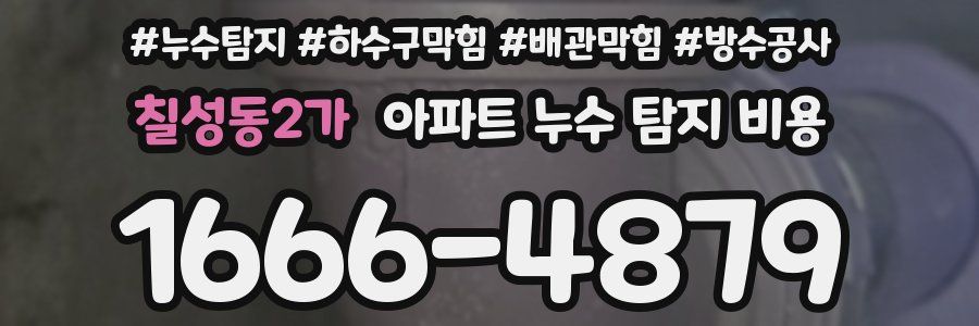 칠성동2가 아파트 누수 탐지 비용