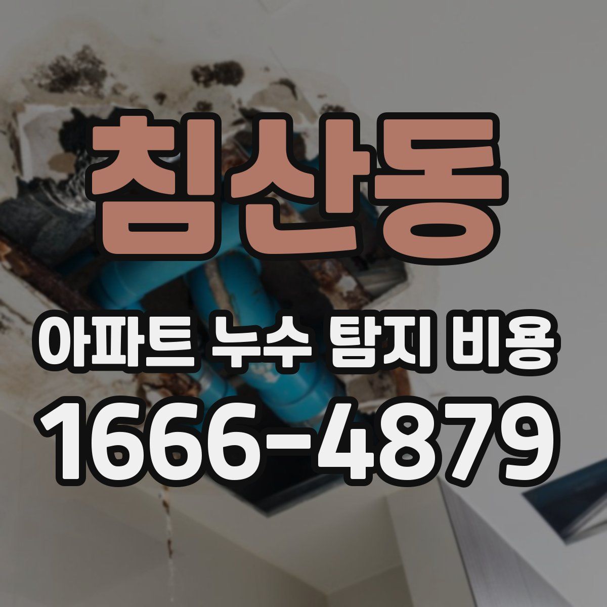 침산동 아파트 누수 탐지 비용