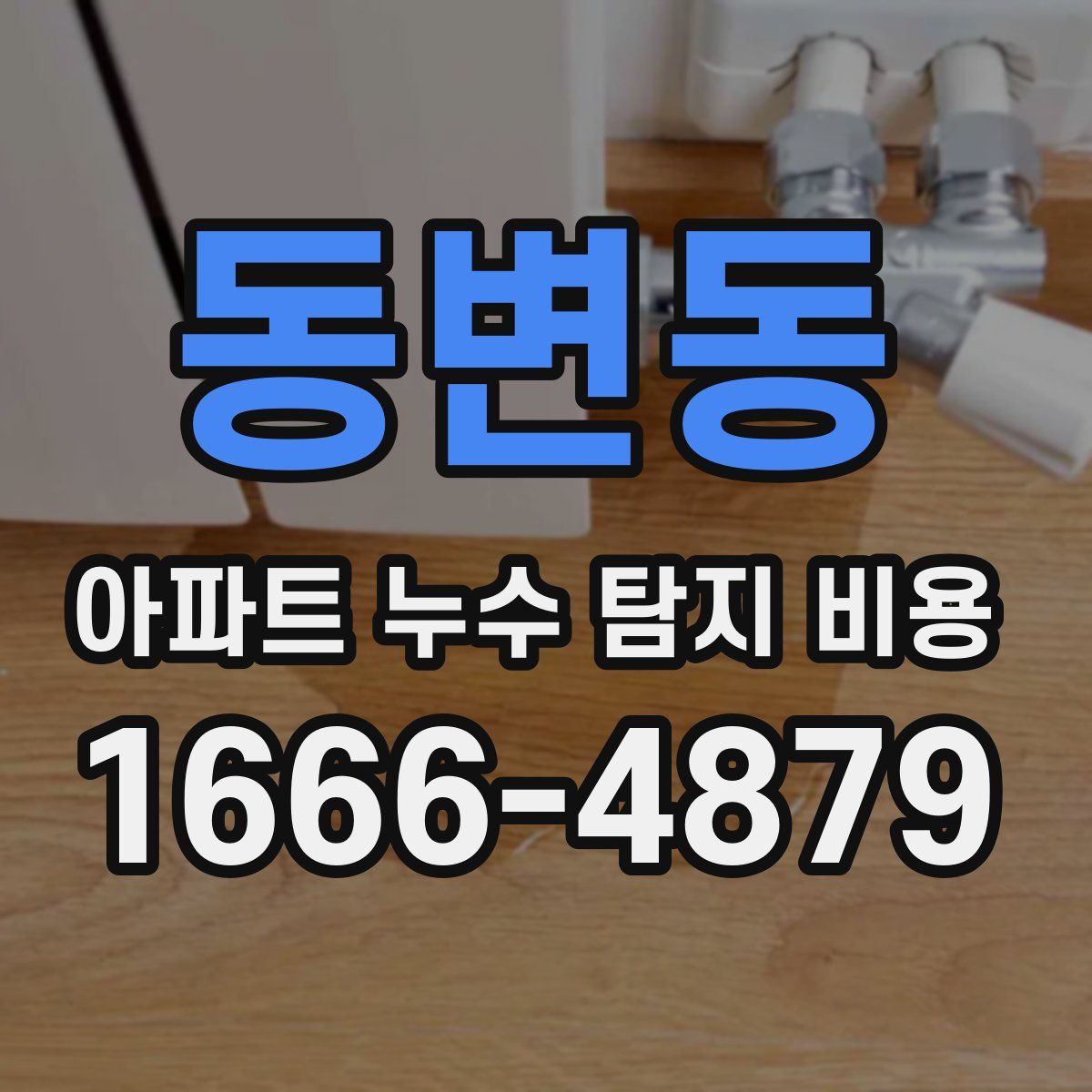 동변동 아파트 누수 탐지 비용