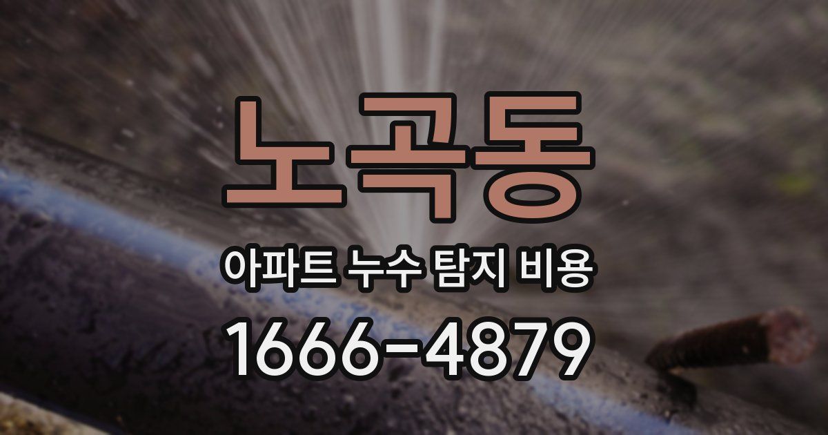 노곡동 아파트 누수 탐지 비용