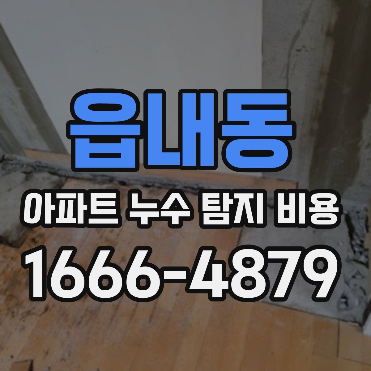 읍내동 아파트 누수 탐지 비용