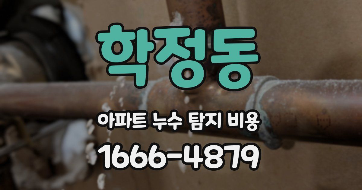 학정동 아파트 누수 탐지 비용