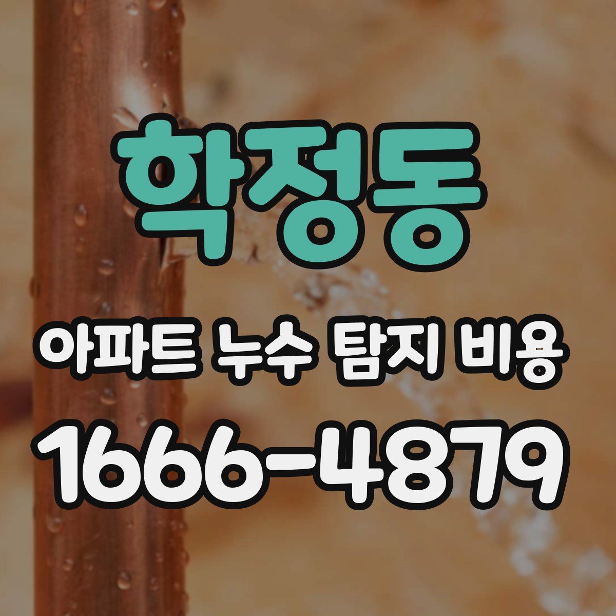 학정동 아파트 누수 탐지 비용