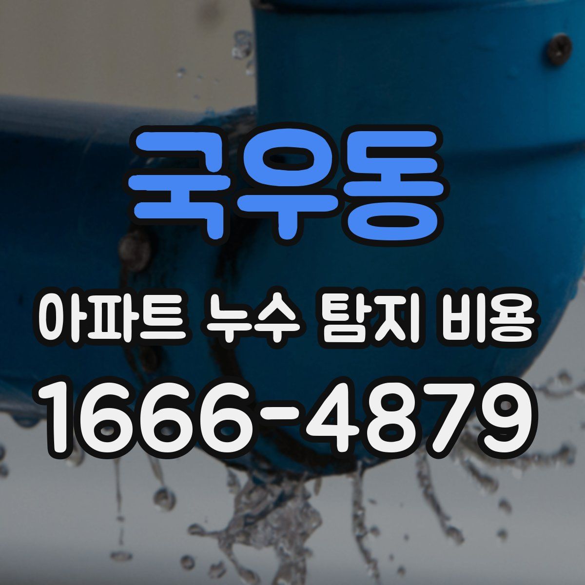 국우동 아파트 누수 탐지 비용